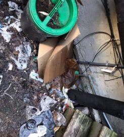 Provincial Pest Control Ottawa