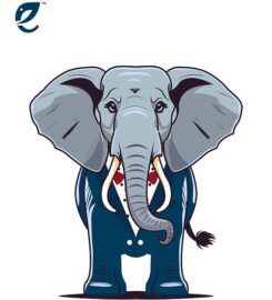 Eli Life