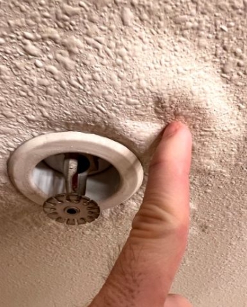 Water Damage Houston Pros