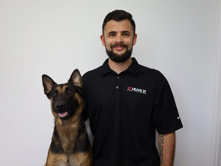 Sit Means Sit Dog Training – Philadelphia