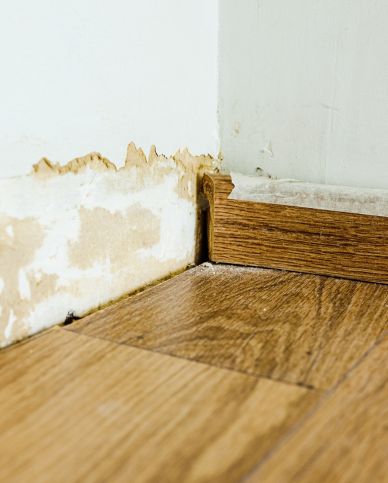 Water Damage Pros Pearland