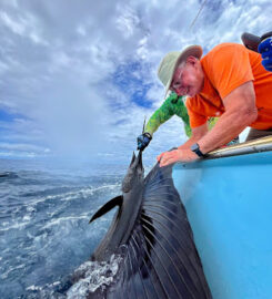 SPORTFISHING BLUE MARLIN