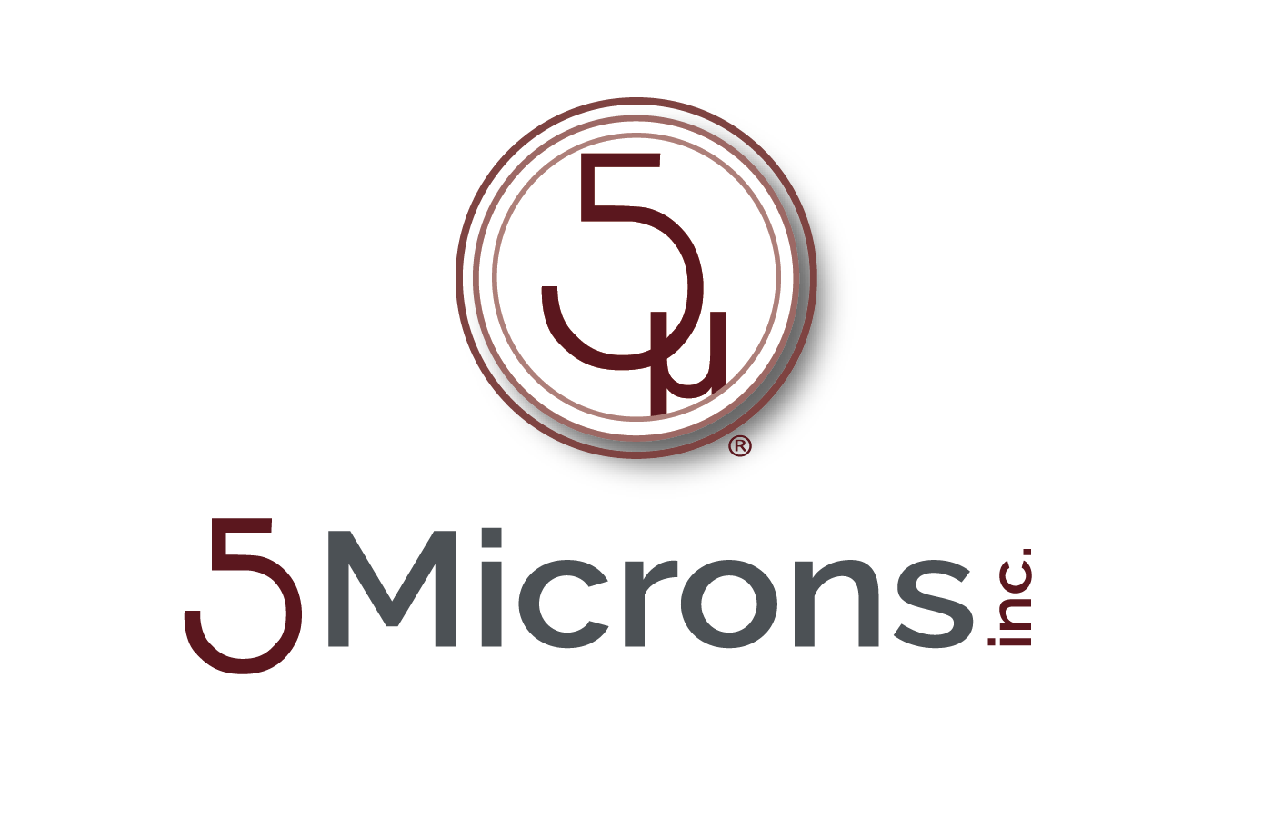 5 Microns Inc, Mold Testing Services