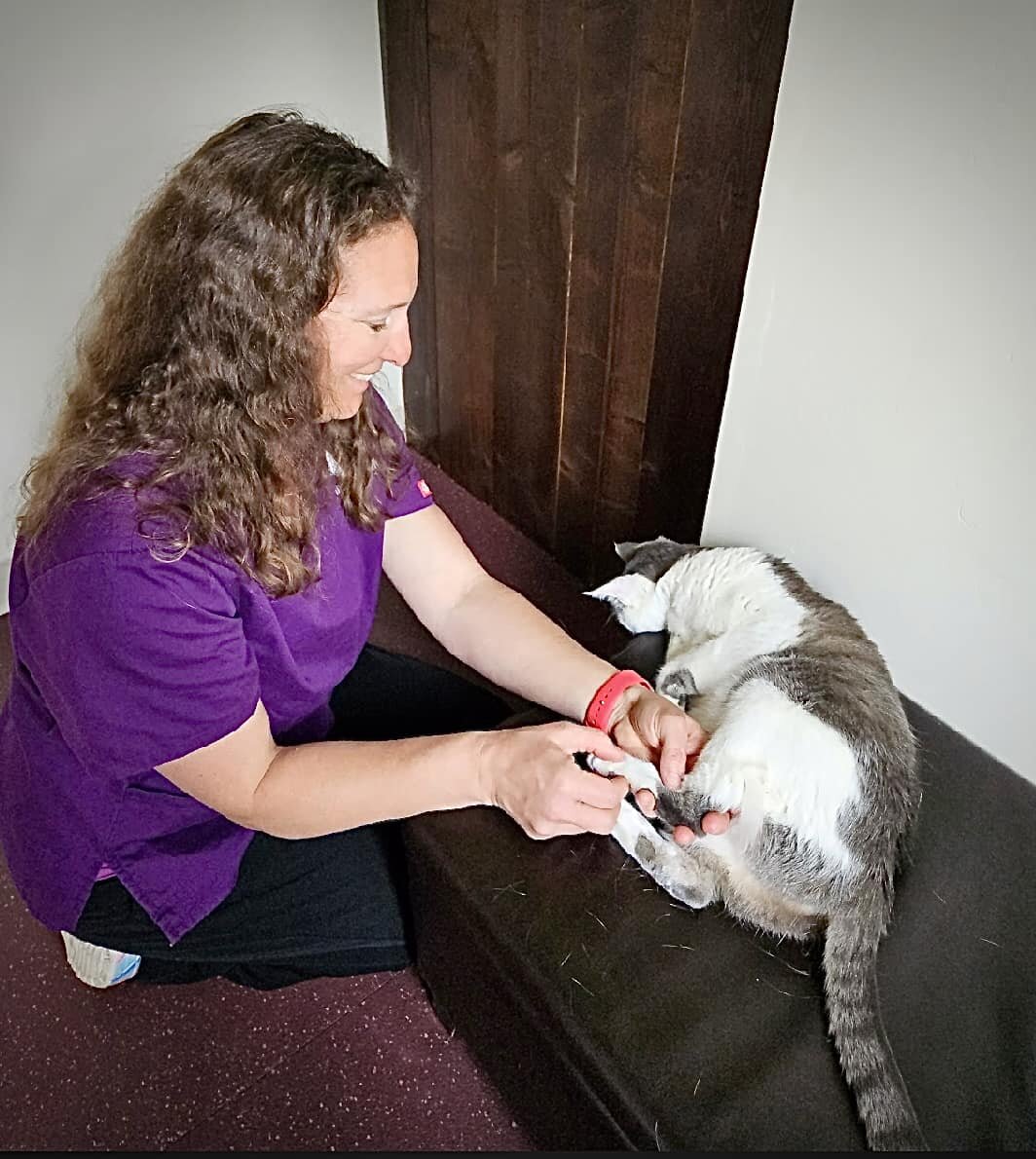 Flathead Veterinary Wellness & Rehabilitation Center