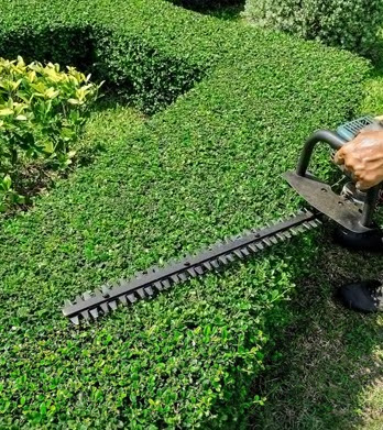 Grass & Yard Services Bronx