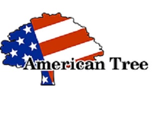 American Tree
