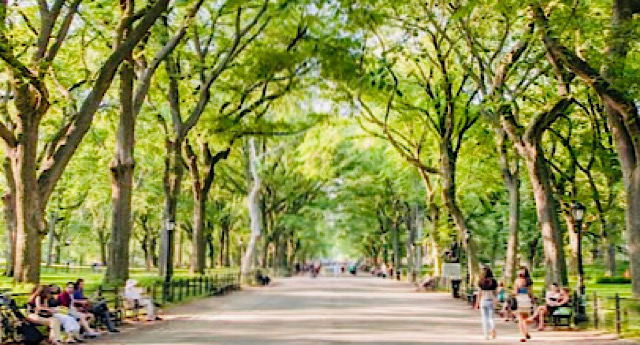 All Around Central Park Pedicab Tours