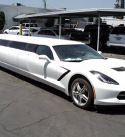 A Limo World
