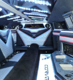 A Limo World