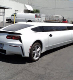 A Limo World