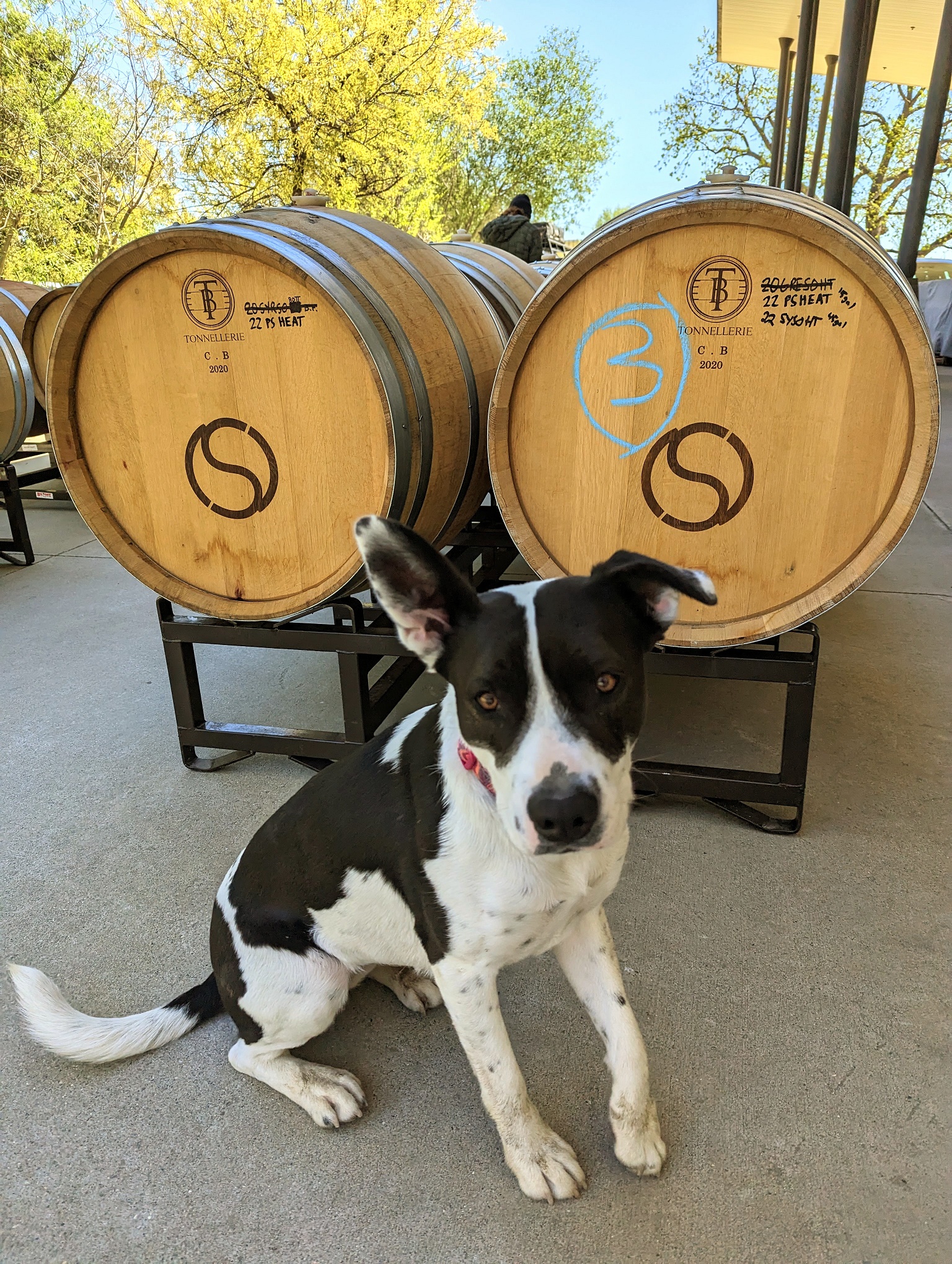Shale Oak Winery