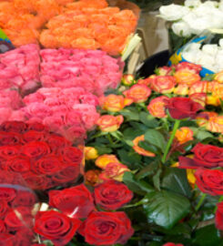 Flower Bucket Florist