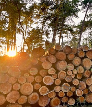 naturbrennstoffe24 GmbH
