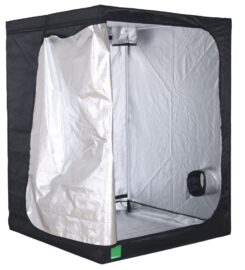 Hydroponics in Bristol –