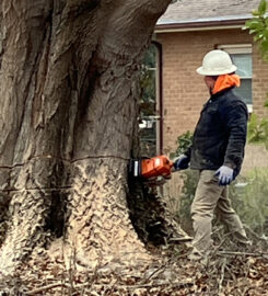 Hollar Brothers Tree Services
