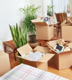 Jolly Good Removals