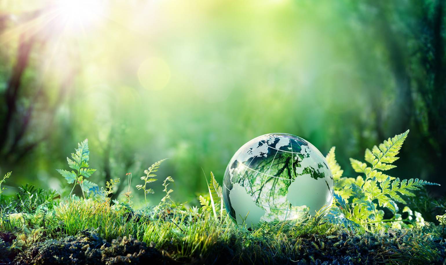 Carbon Neutral Group