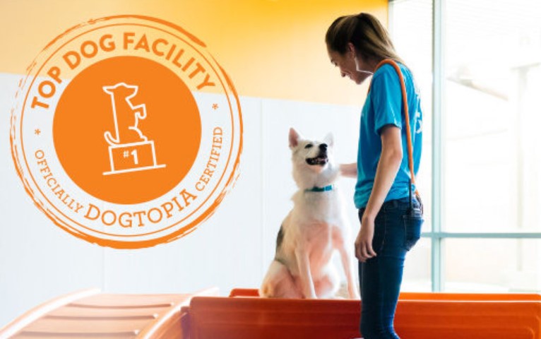 Dogtopia of Union