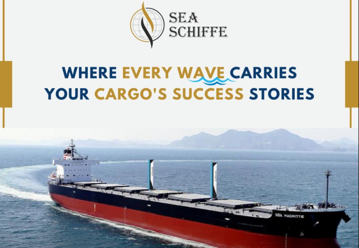 Seaschiffe: Dry Bulk Shipping Company