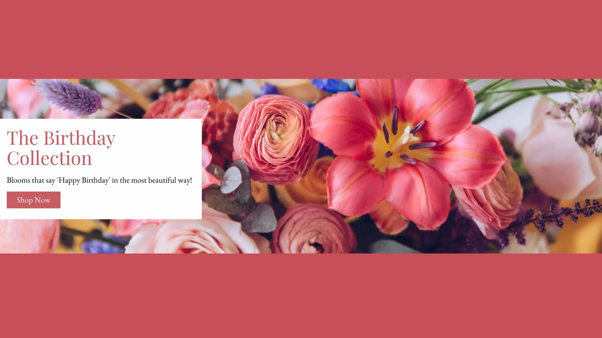Flower Studio