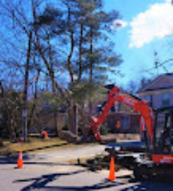The Real Tree Masters Inc.