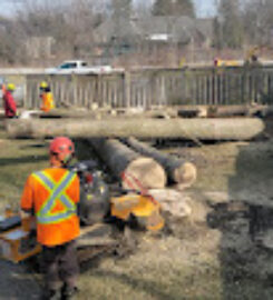The Real Tree Masters Inc.