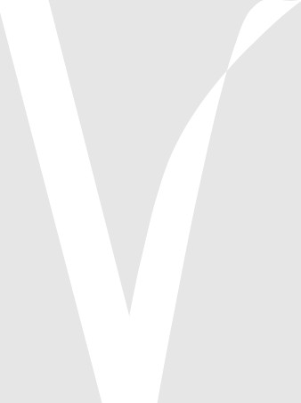 The V Group