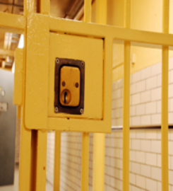 Buddy's Bail Bonds