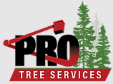 Pro Tree Service