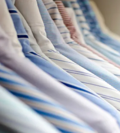 The Dry Cleaner