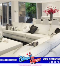 Clean My Mess Cleaning Services