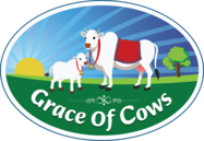 Grace of Cows