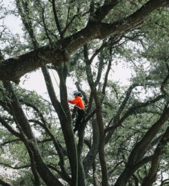 Price Right Professional Landscaping & Tree Service