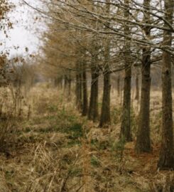 Price Right Professional Landscaping & Tree Service