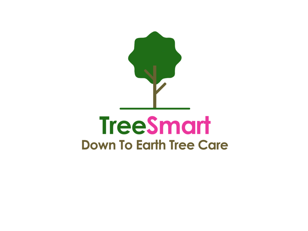 Tree Surgeon Rotherham | Tree Smart