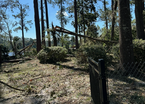 Brush Busters LLC