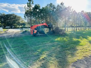 ROYAL LAND MANAGEMENT