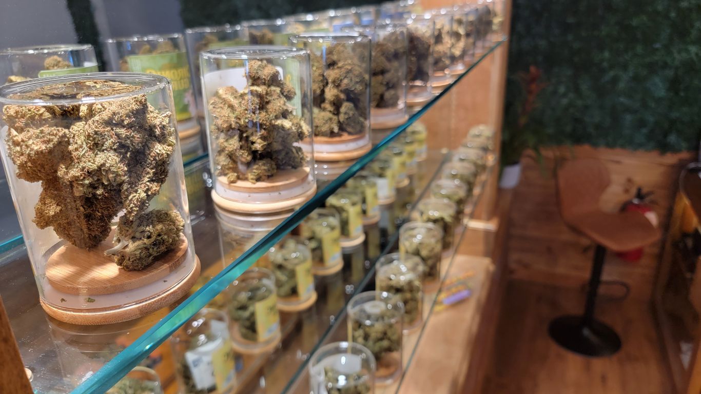 Chronic Guru Dispensary & Lounge – Sanford