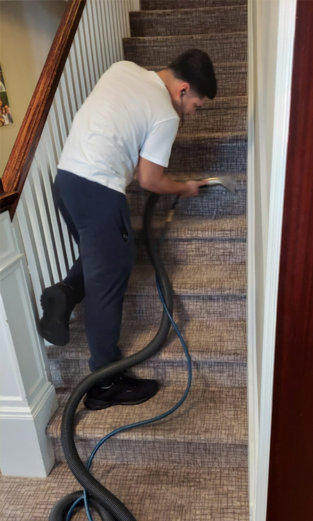 Cleaning Upholstery At Home Hollywood