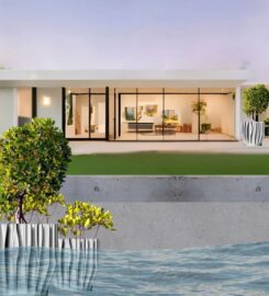 Kind Designs Living Seawalls