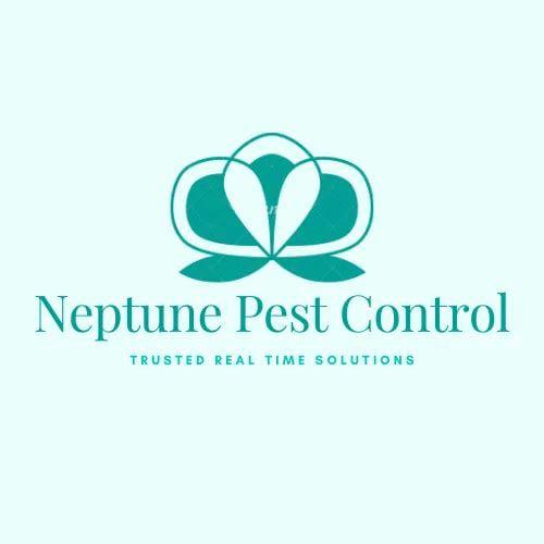 Expert Pest Control and Fumigation Services Company in Nairobi