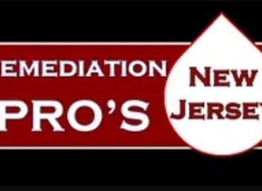 Remediation Pros