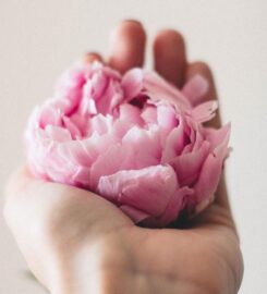 R&R Aesthetics & Wellness