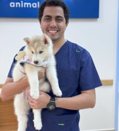 The Ark Animal Clinic