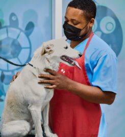 The Ark Animal Clinic
