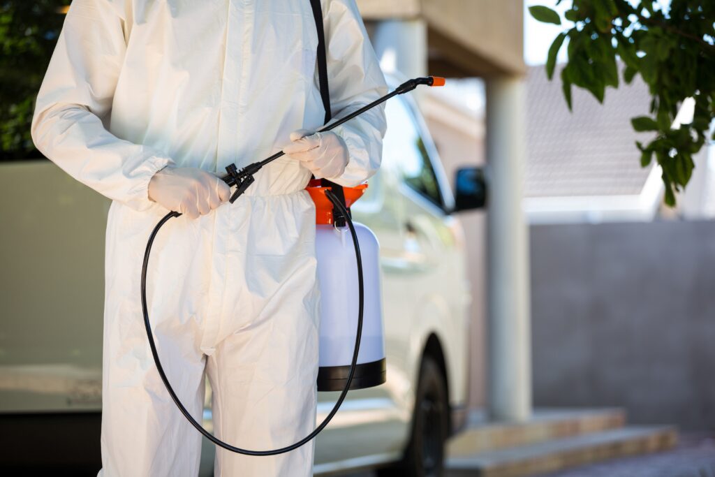 Pest control in Battersea | EVO Pest Control