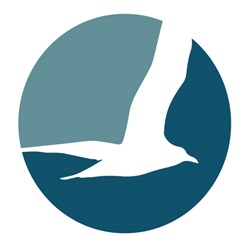 Balboa Pacific Insurance Services
