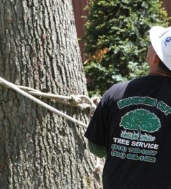 Tree Cutting & Trimming Ronkonkoma