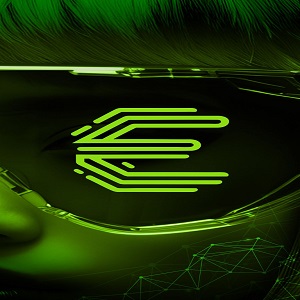 Emeron Infospace