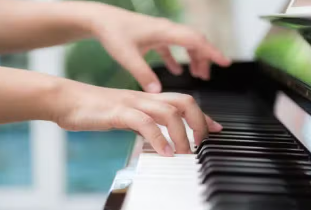 Pro Music Tuition Ltd